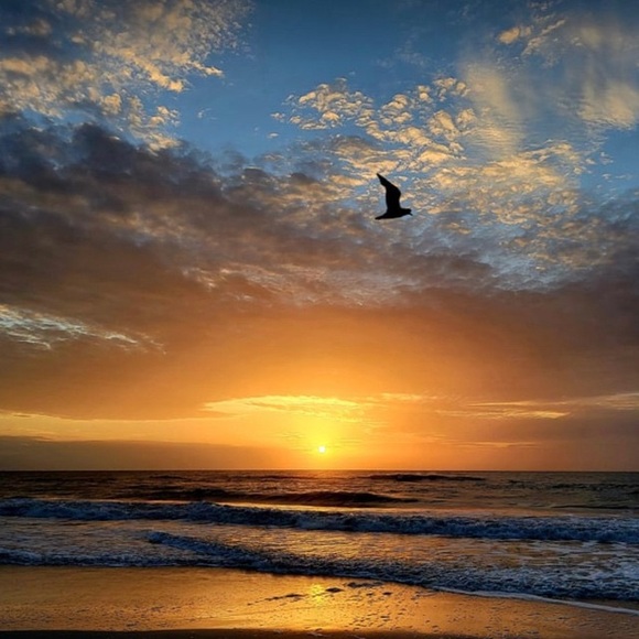 Jeremiah 29:11 ~ my life verse - Picture 5 of 10